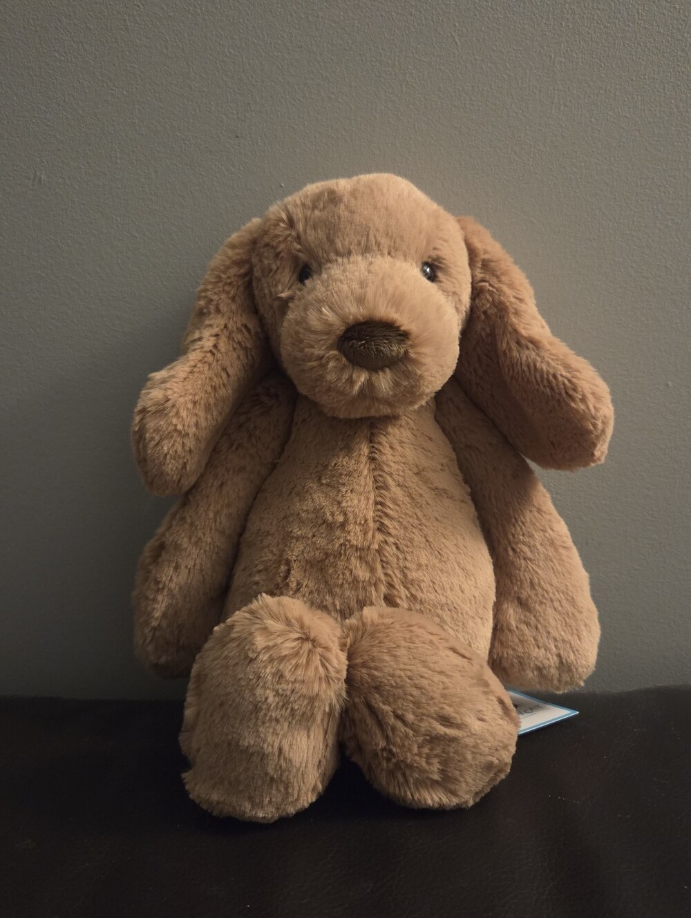 Jellycat Bashful Toffee Puppy